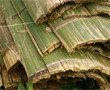 Esterilla preservada