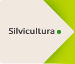 Silvicultura